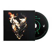 Read Collide Records Reviews